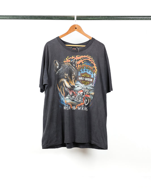 1996 Harley Davidson Daytona Bike Week