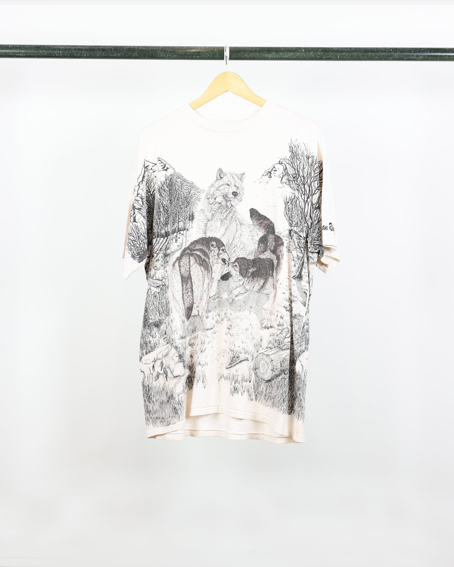 90s Hurricane Ridge AOP