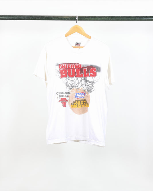 1996 Chicago Bulls World Champs