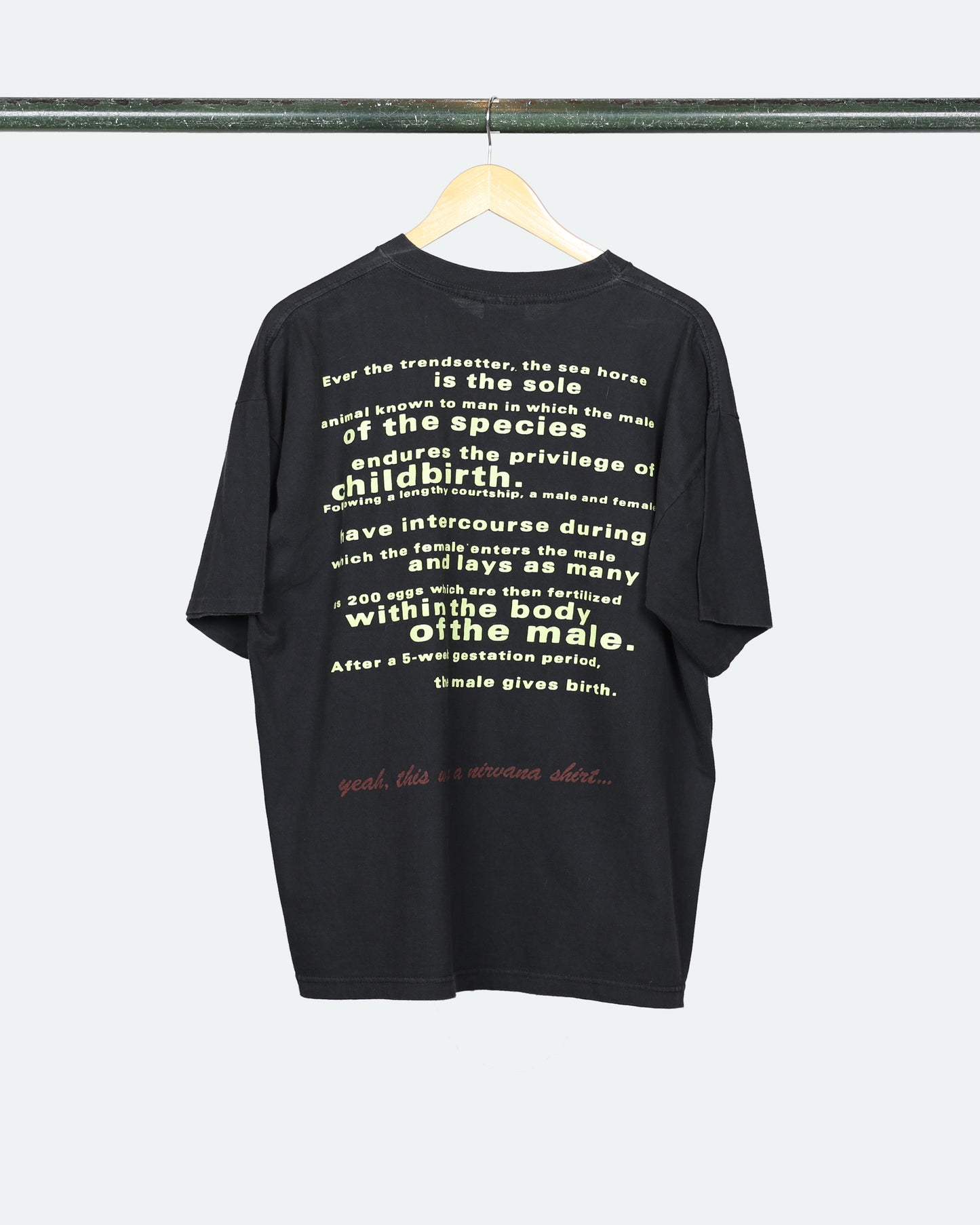 1993 Nirvana 'Seahorse'