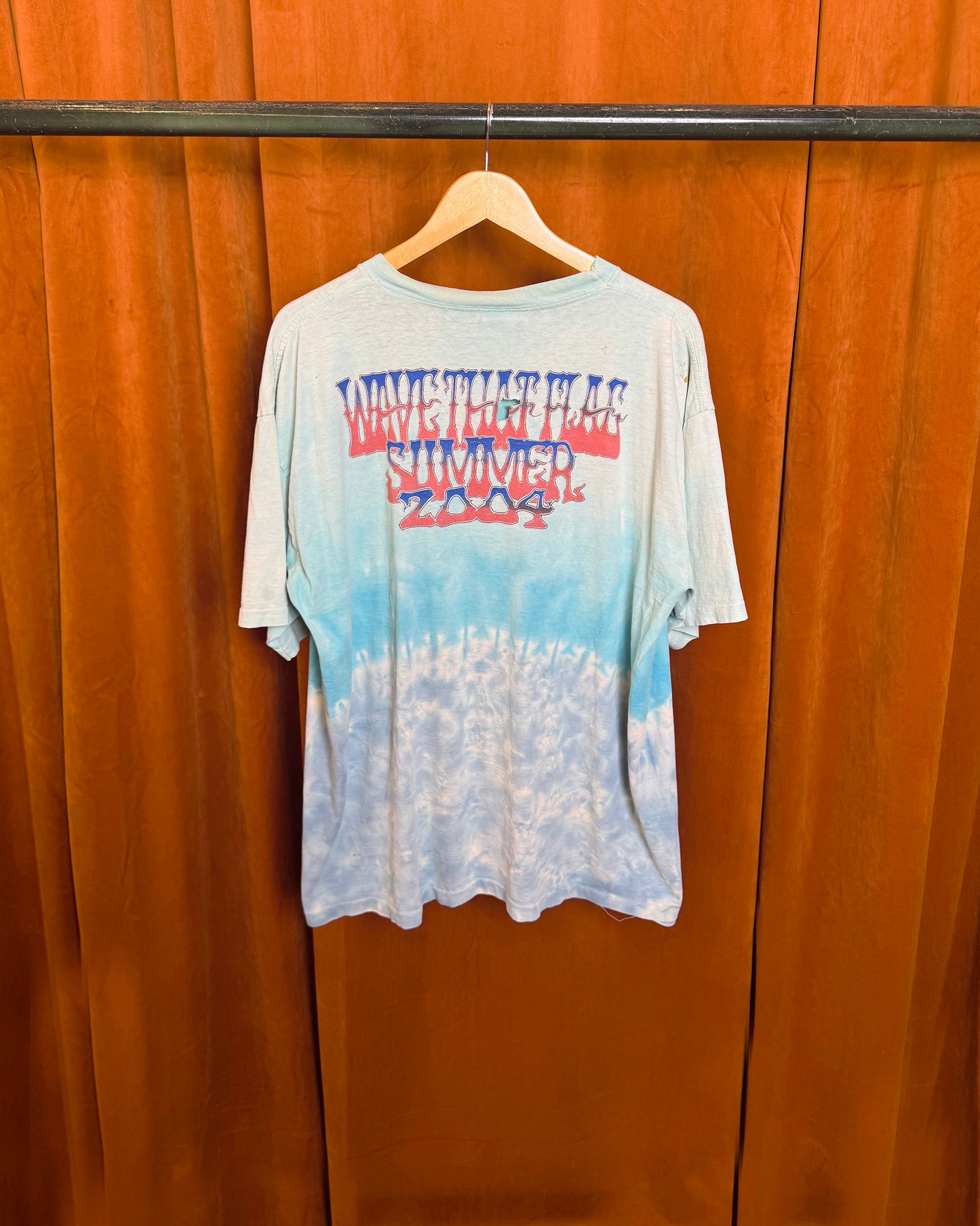 2004 The Dead 'Wave That Flag' Summer Tour