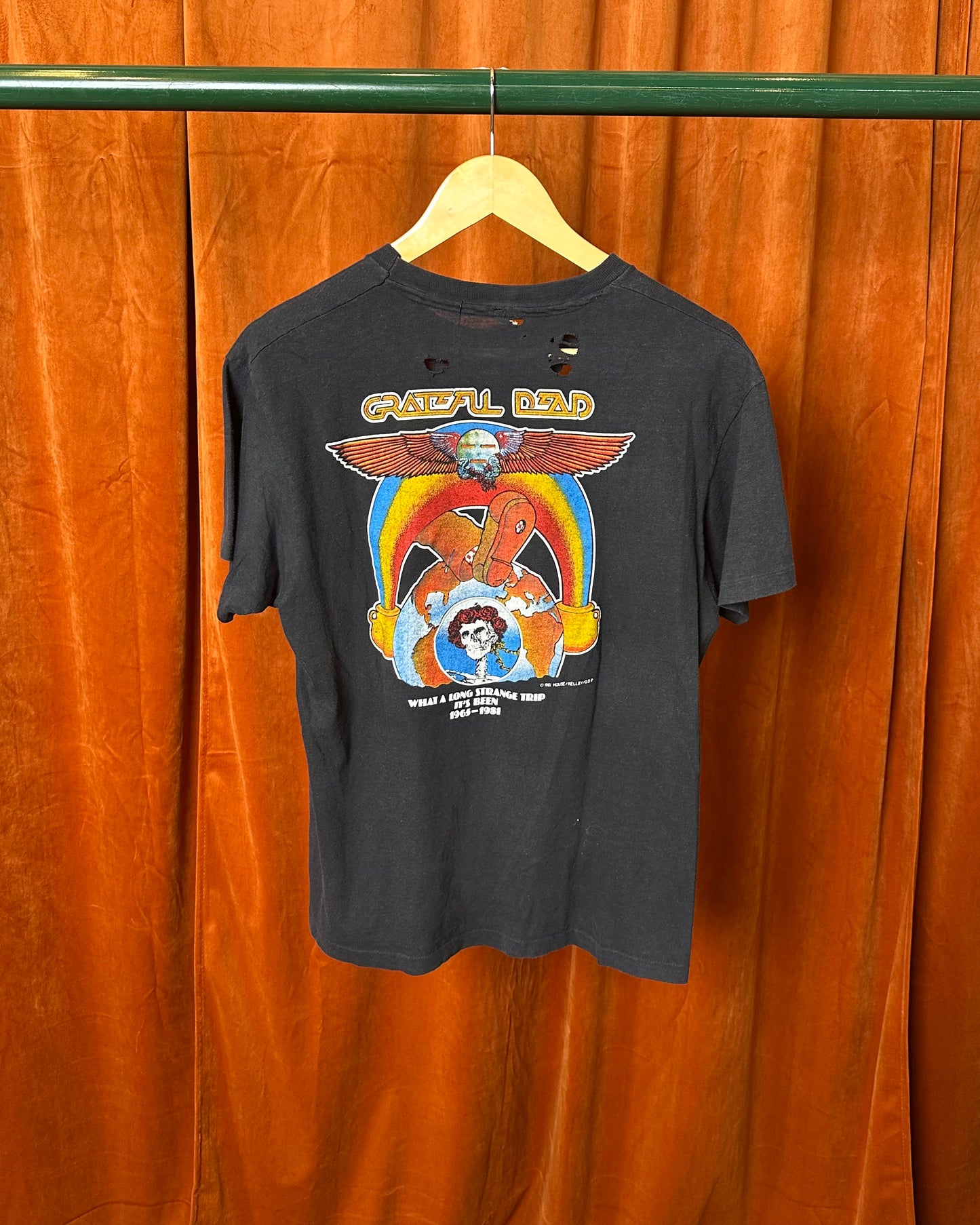 1981 Grateful Dead 'Long Strange Trip