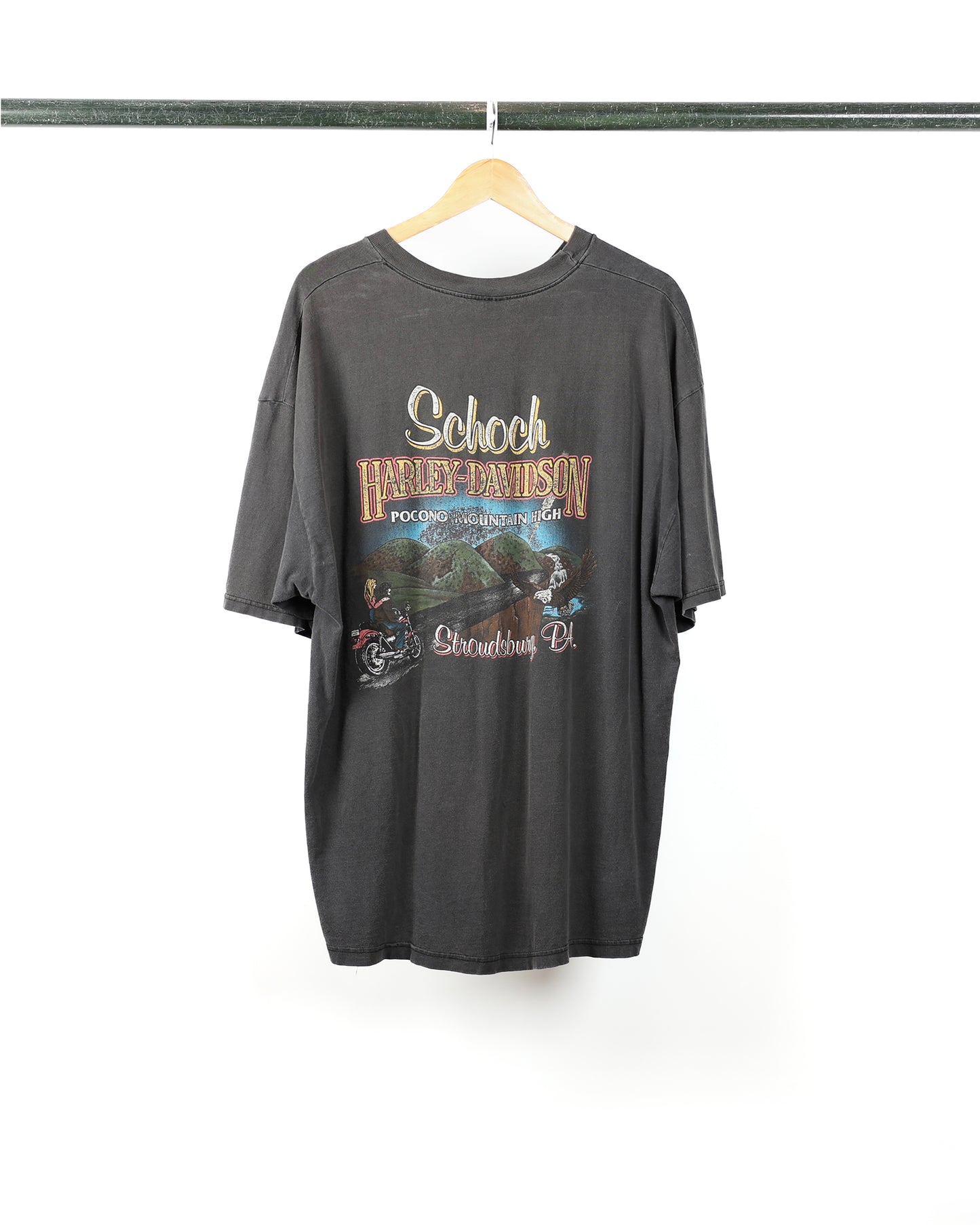 1998 Harley Davidson 'The Strong Survive'