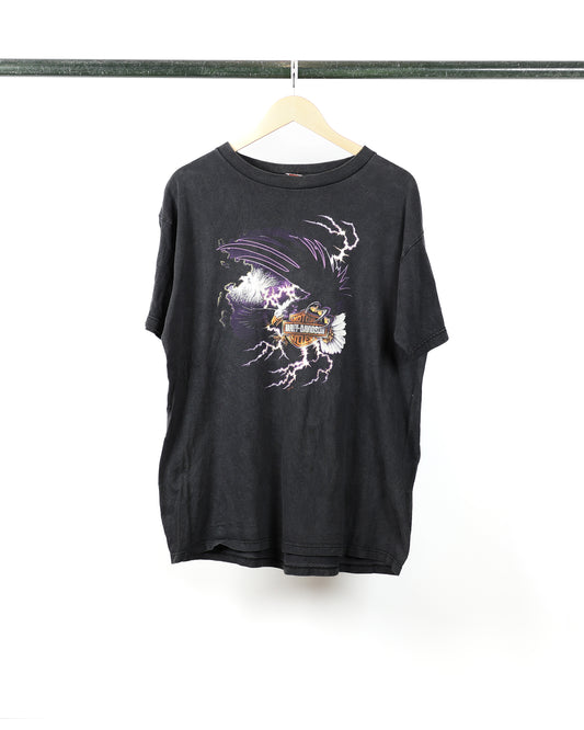 2001 Harley Davidson 'Bald Eagle' Marquette MI