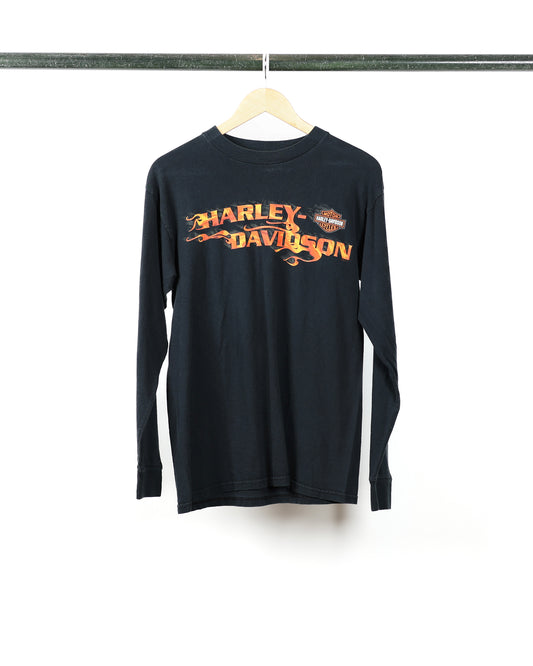 2002 Harley Davidson Flames L/S