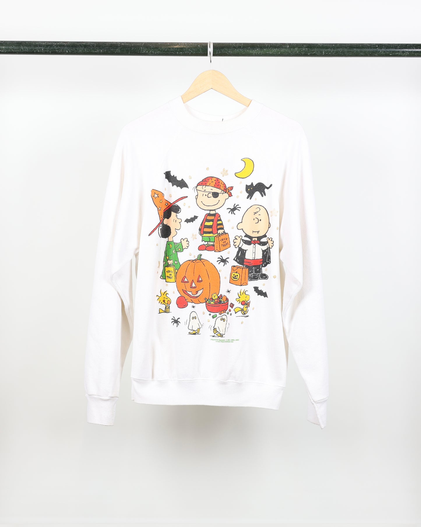 90s Charlie Brown Halloween Crewneck
