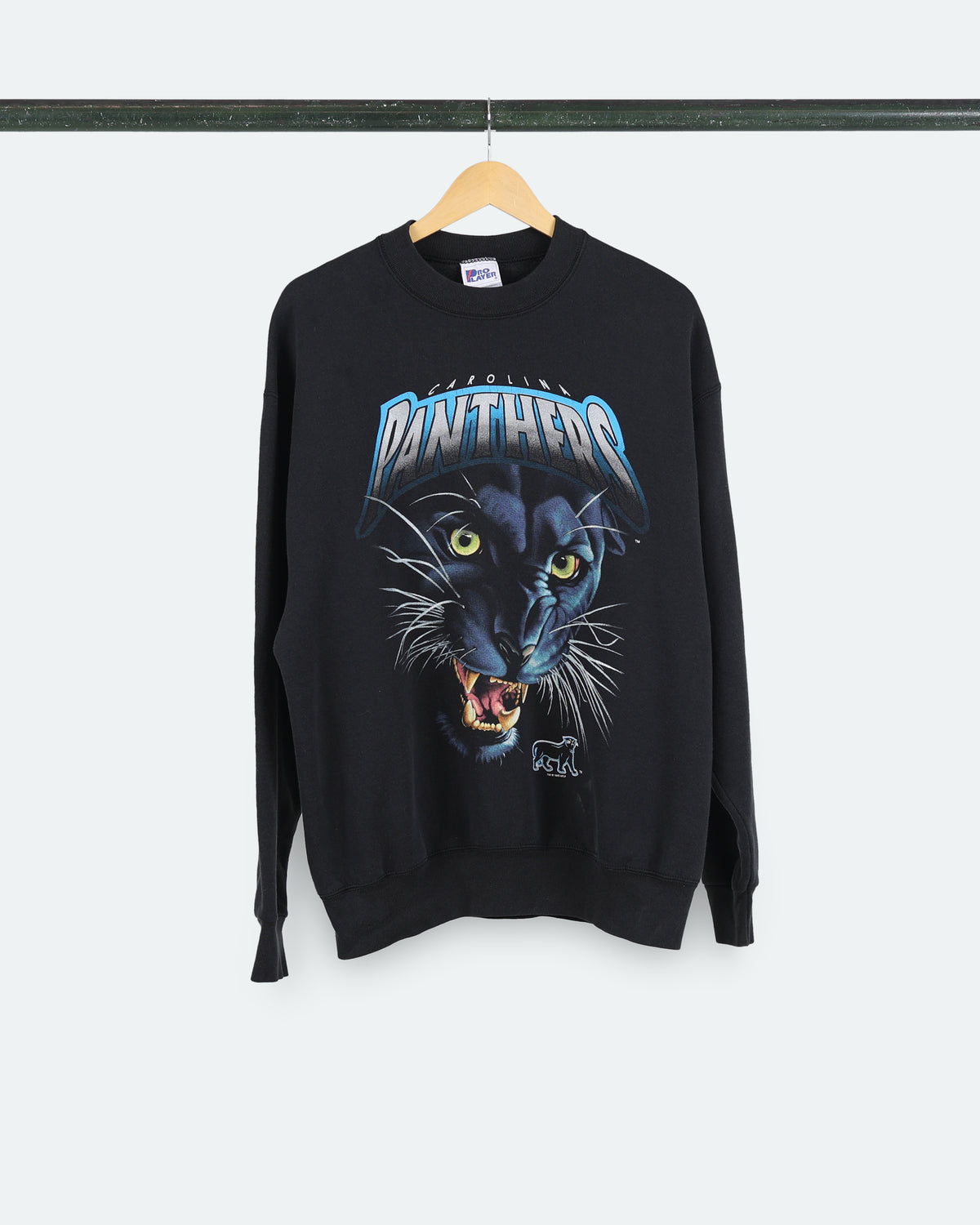 90s Carolina Panthers Sweatshirt
