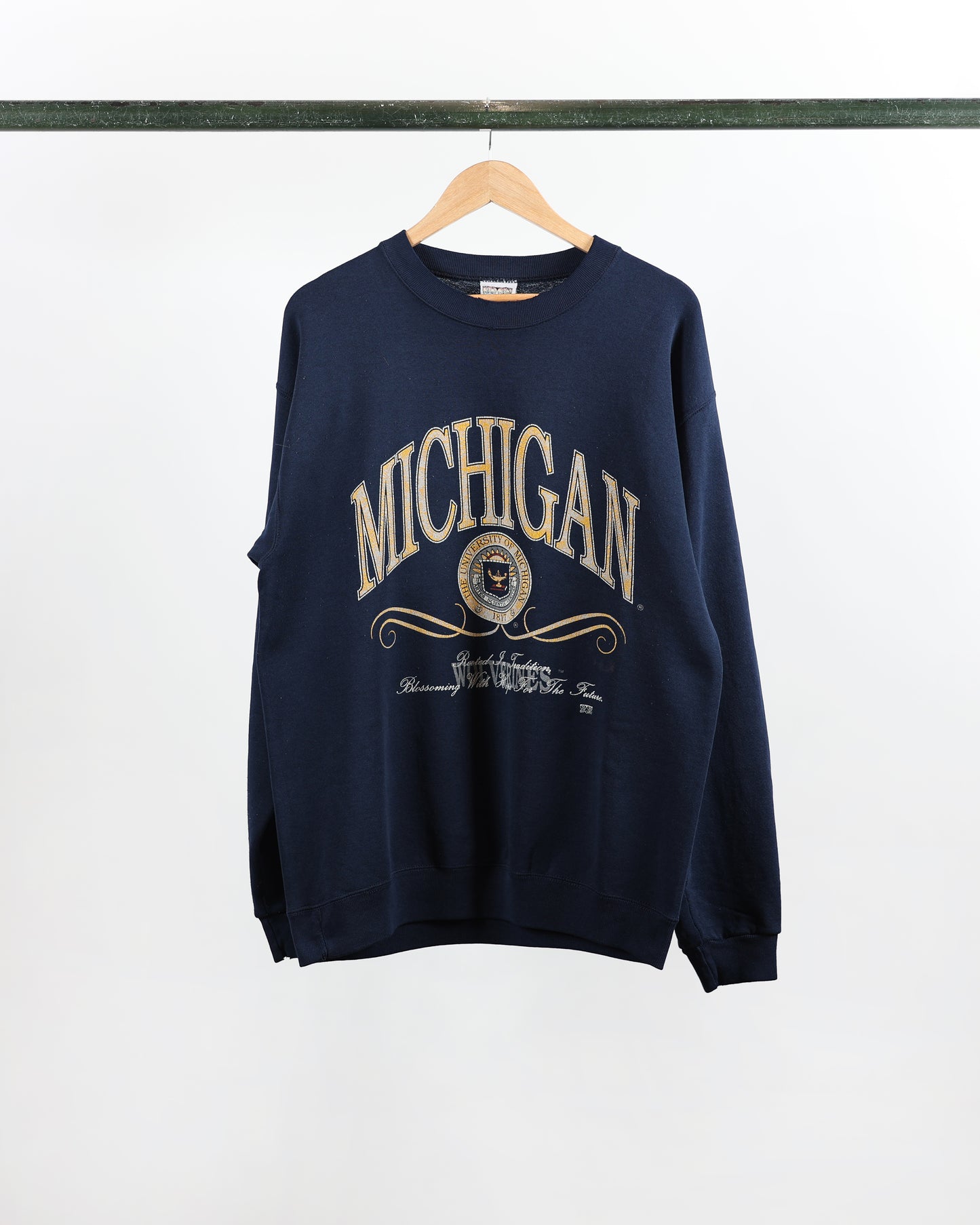 90s 20/20 Sport Michigan Crewneck