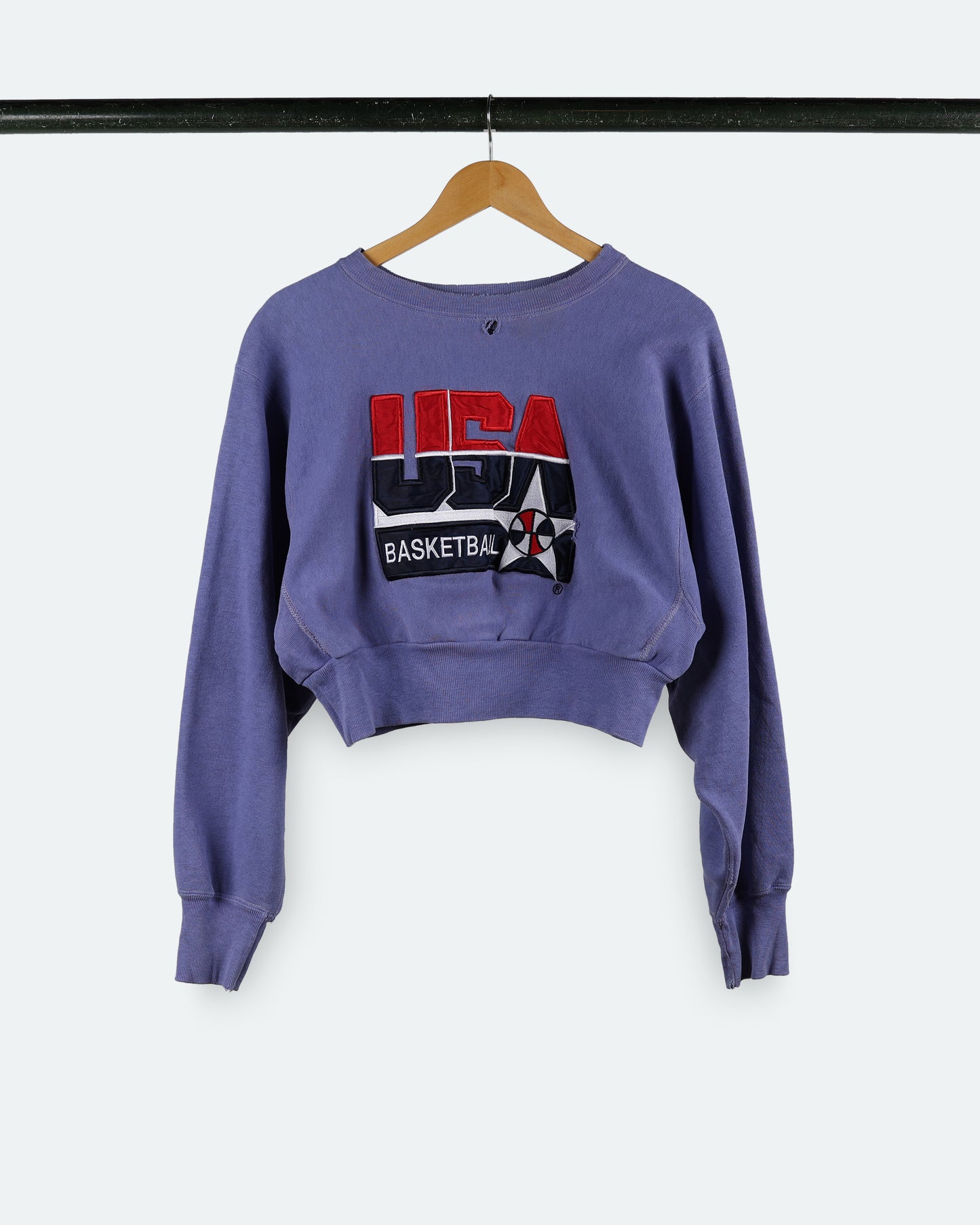 90s USA Basketball Cropped Reverse Weave Champion