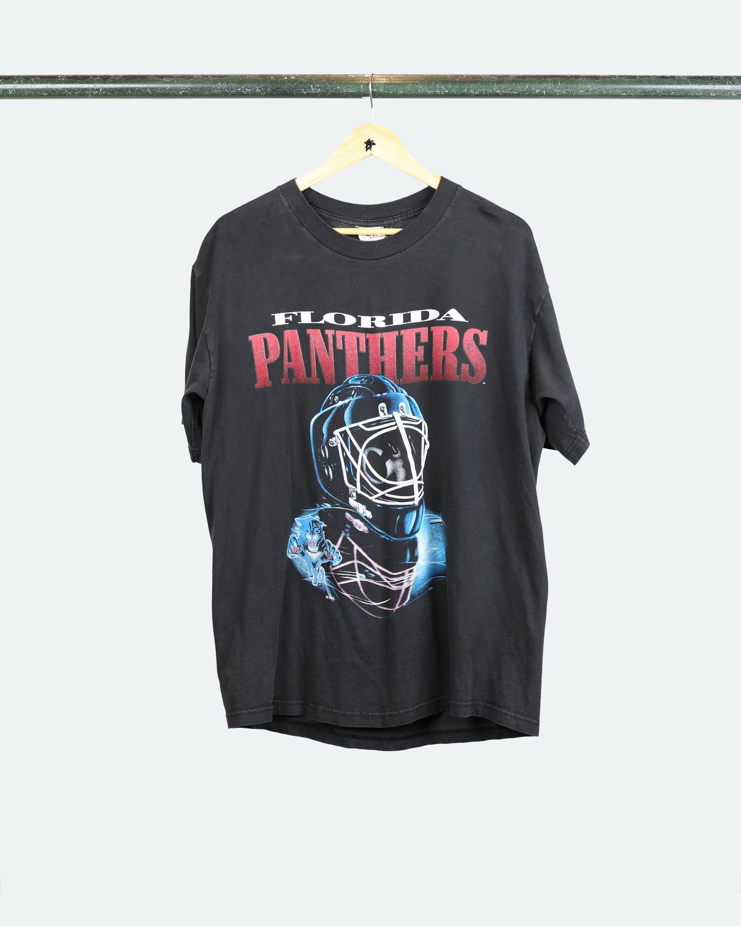 90s Florida Panthers