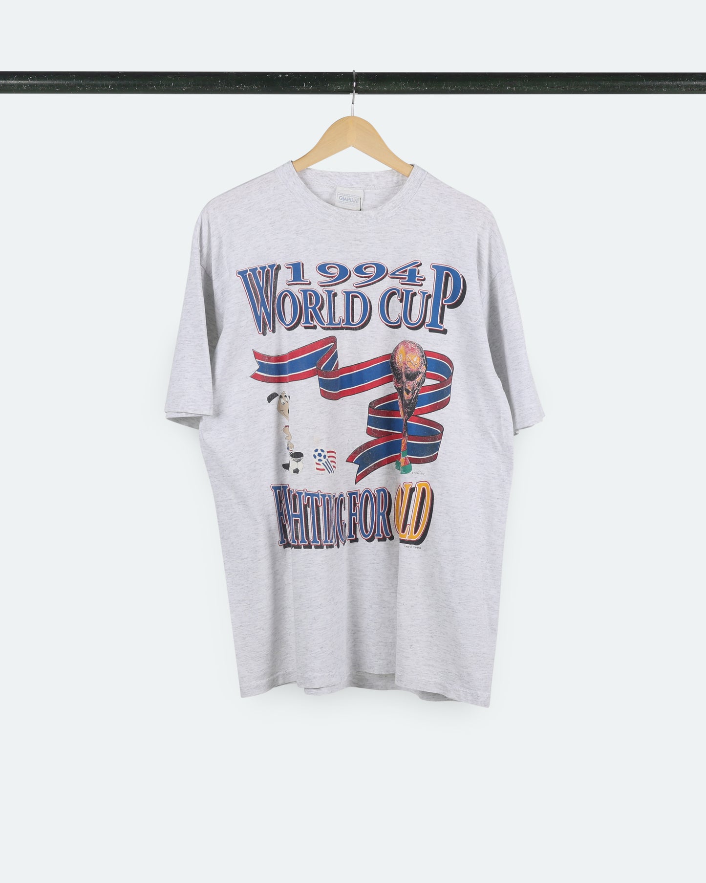 1994 FIFA World Cup *Fighting For The Gold