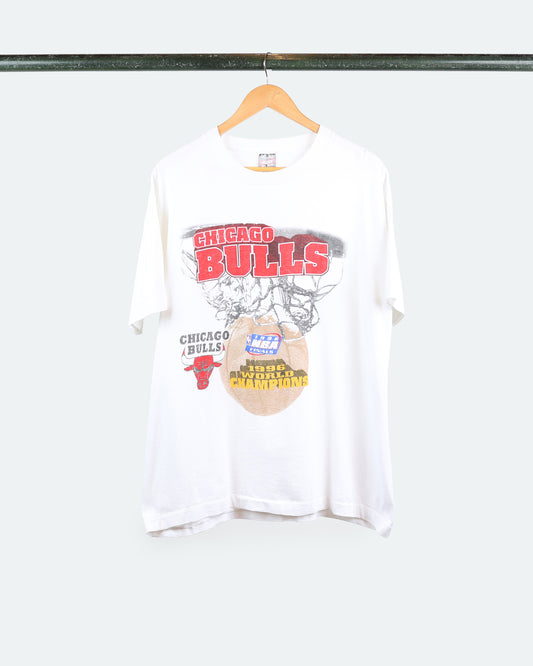 1996 Chicago Bulls World Champs
