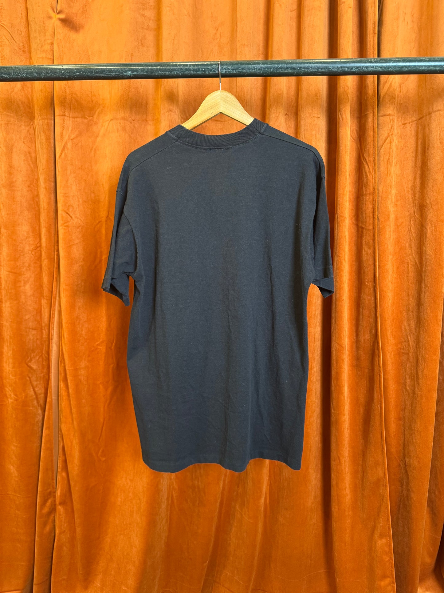 1995 Miami Dolphins Lightning