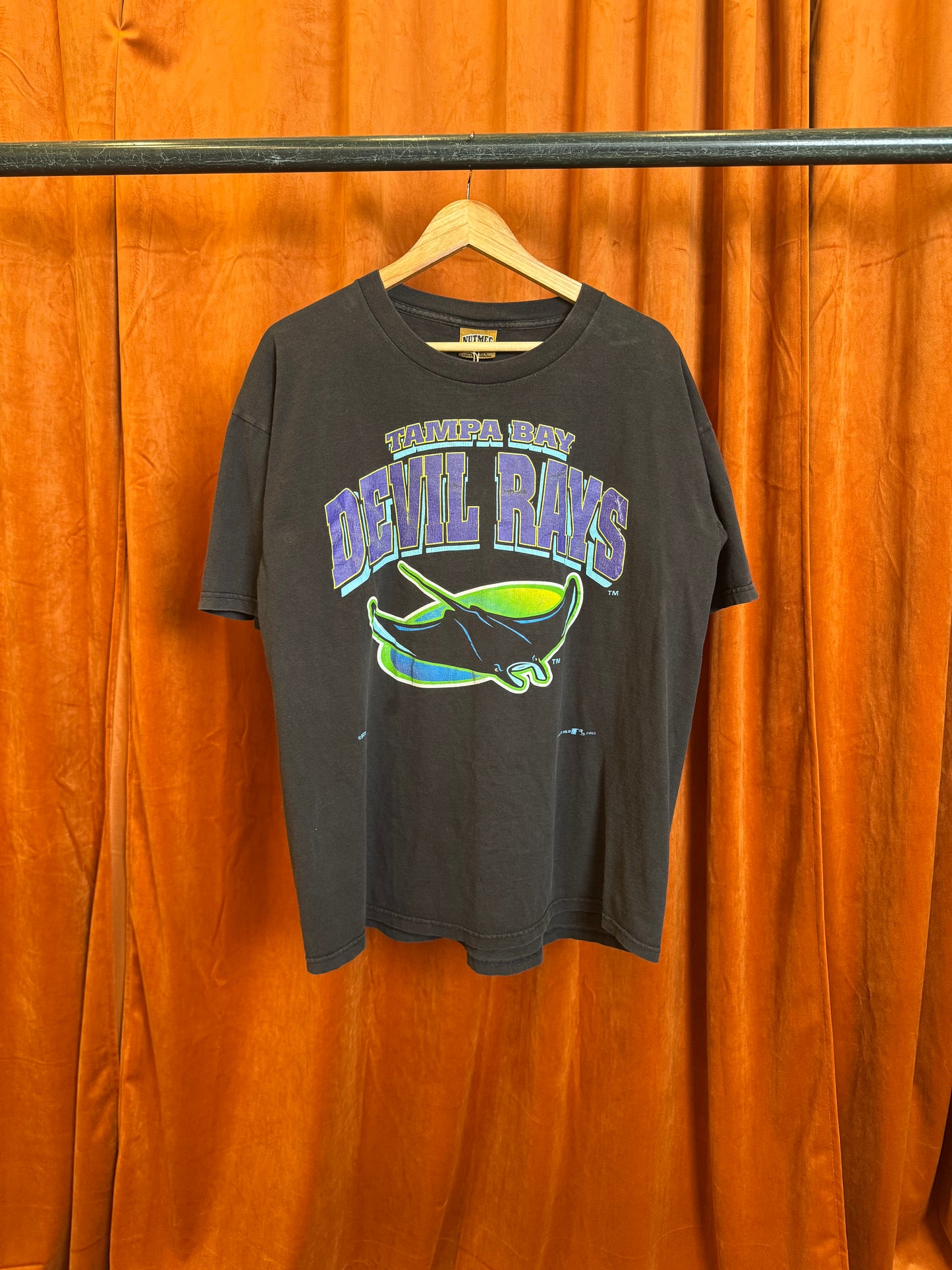 1995 Tampa Bay Devil Rays