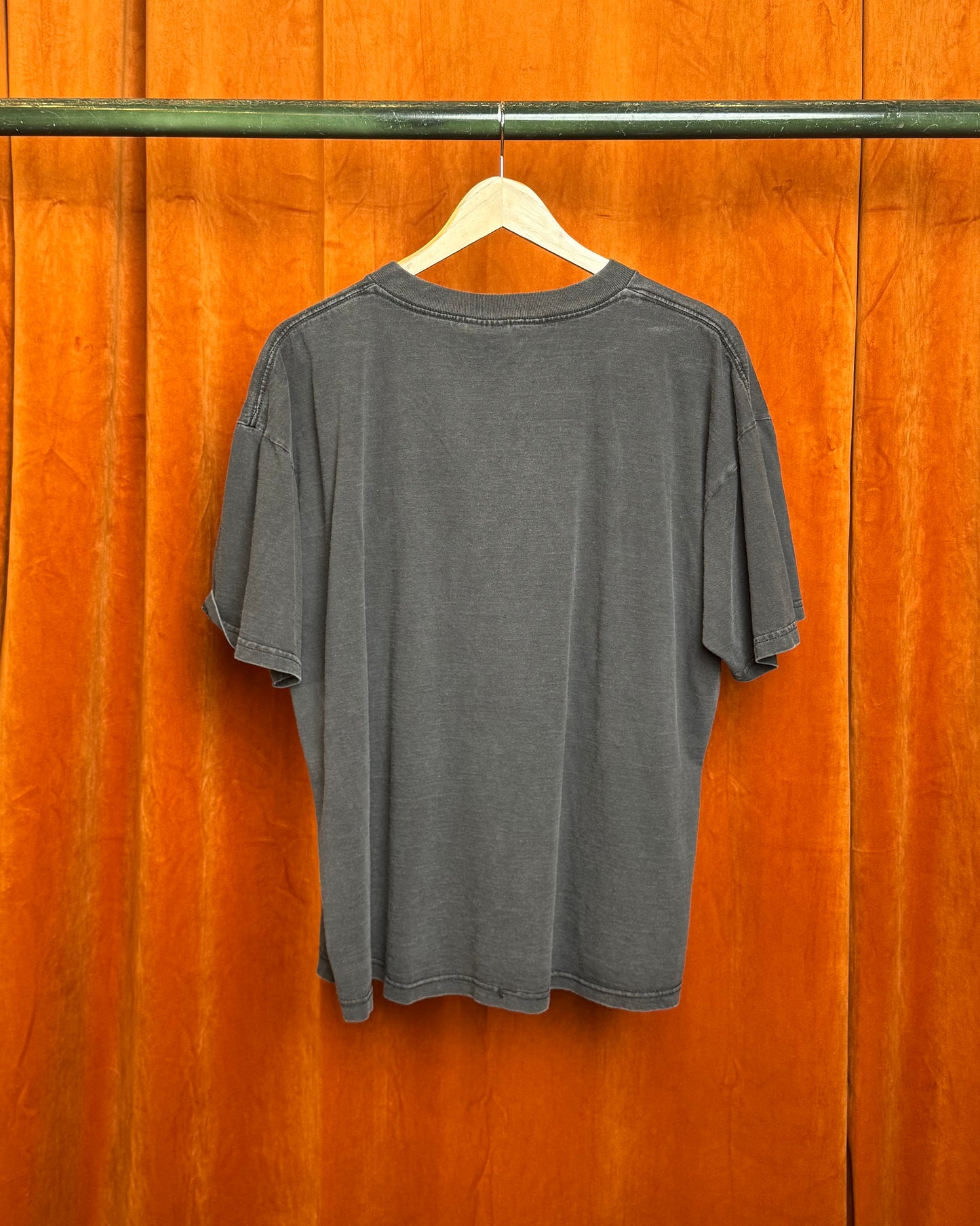 90s John Denver Wildlife Concert